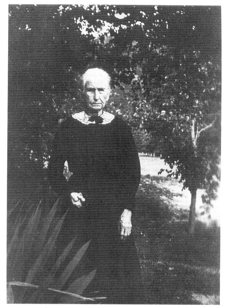 Courtesy of Joe B. Roles. This surviving image of Mary Jane Arnot Smith ca. 1912 was provided to Joe by the Smith Family. Mary Jane raised her seven children by herself and operated the farm until her death in 1914 at the age of 90. Whenever she had a photograph made she would try to cover the hand with the missing fingers with a hankerchief (from Mary Jane's War, pg. 151).
